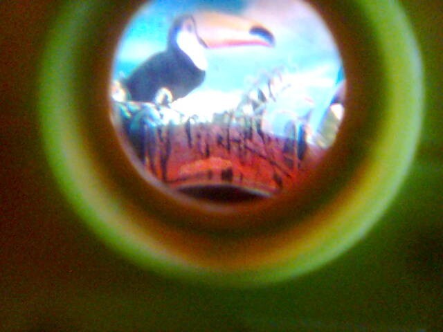 visitor