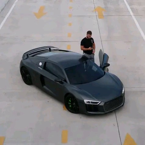visitor