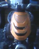 visitor