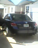visitor