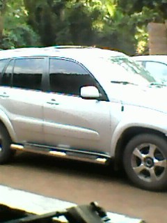 visitor