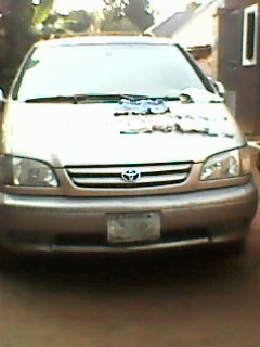 visitor