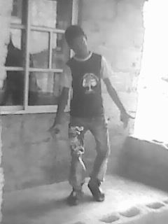 visitor
