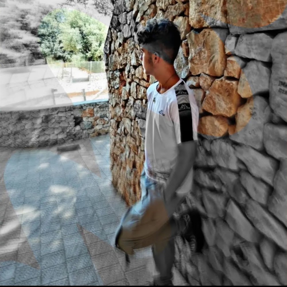 visitor