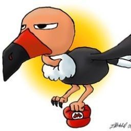 majruu