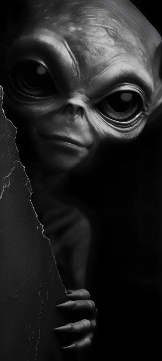 visitor