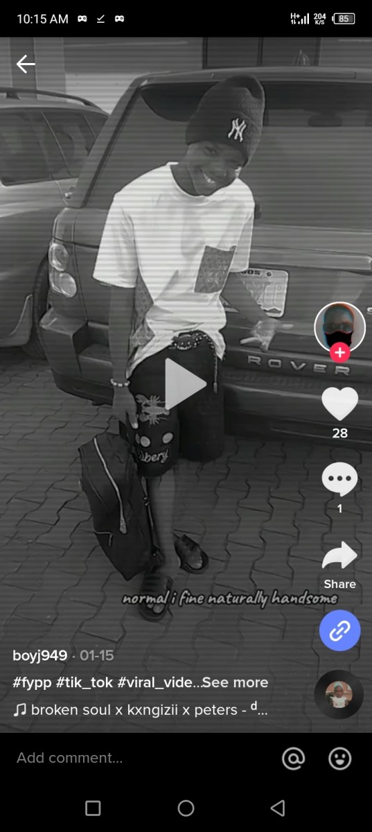 visitor