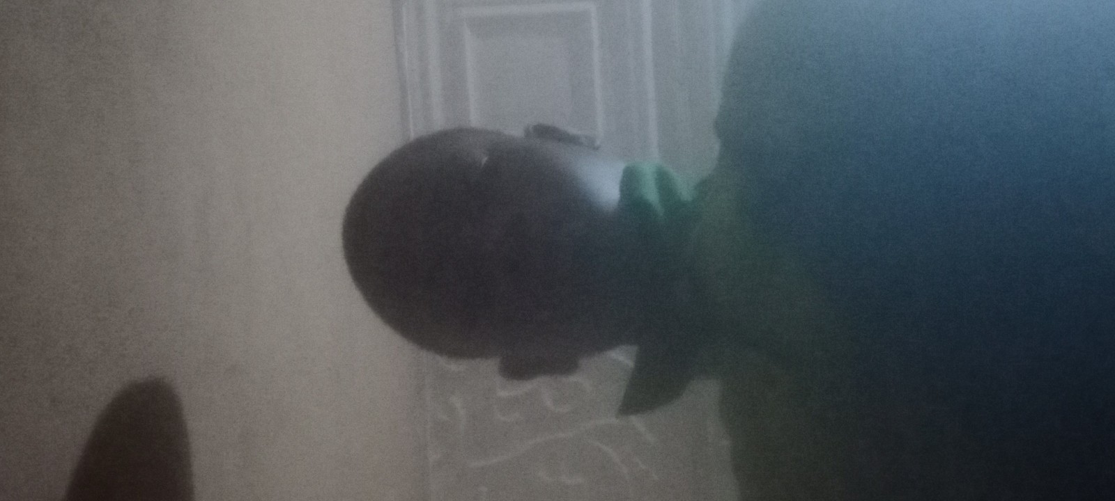 visitor