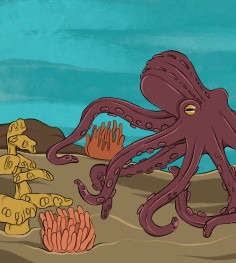visitor