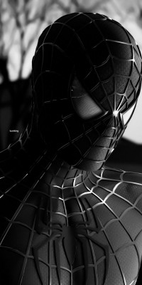 blackspidey