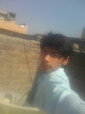ruzain